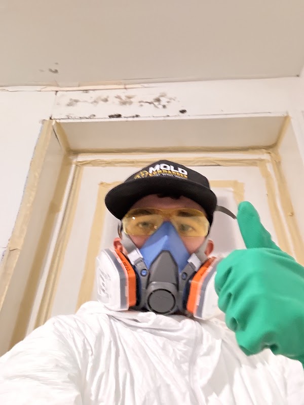 Mold Commander photo 3